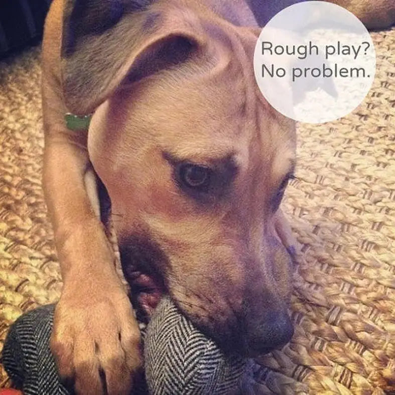 Tweed Dog Toy • Custom Embroidered • Hand Stitched